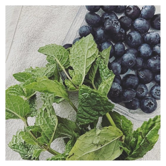 Мята и голубика на фоне белой ткани