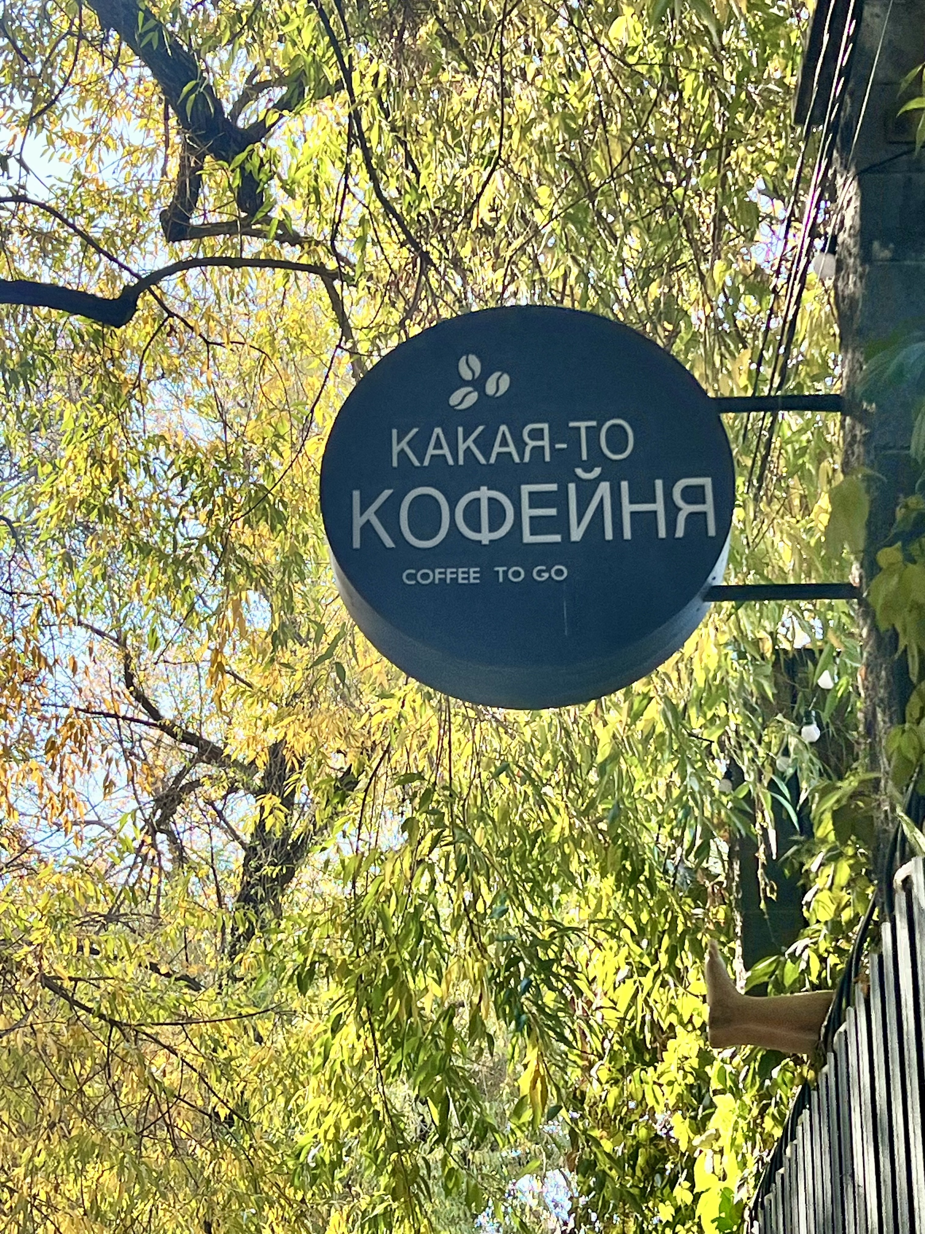 Какая-то кофейня. Терренкур в Алматы