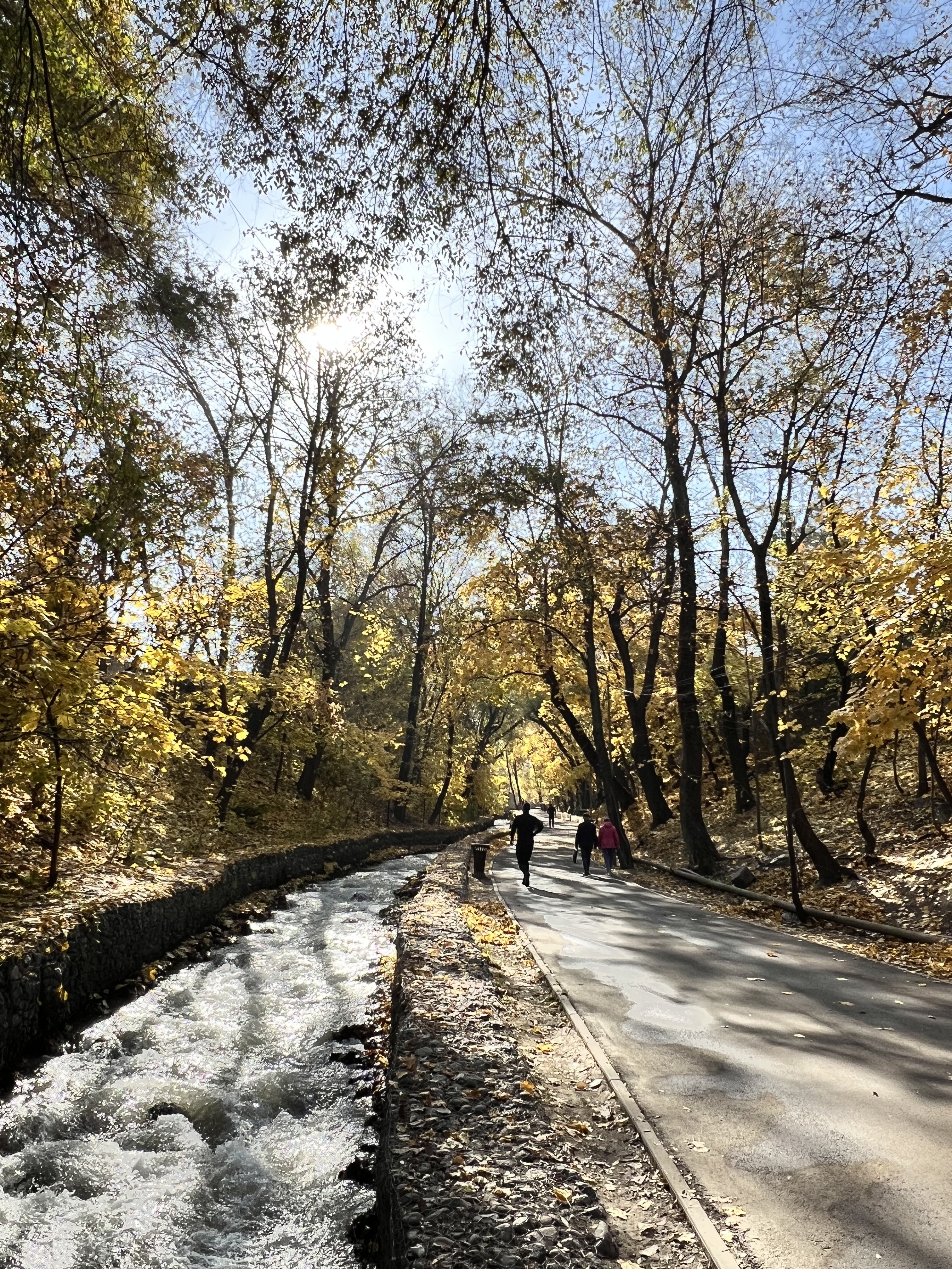 Терренкур осенью