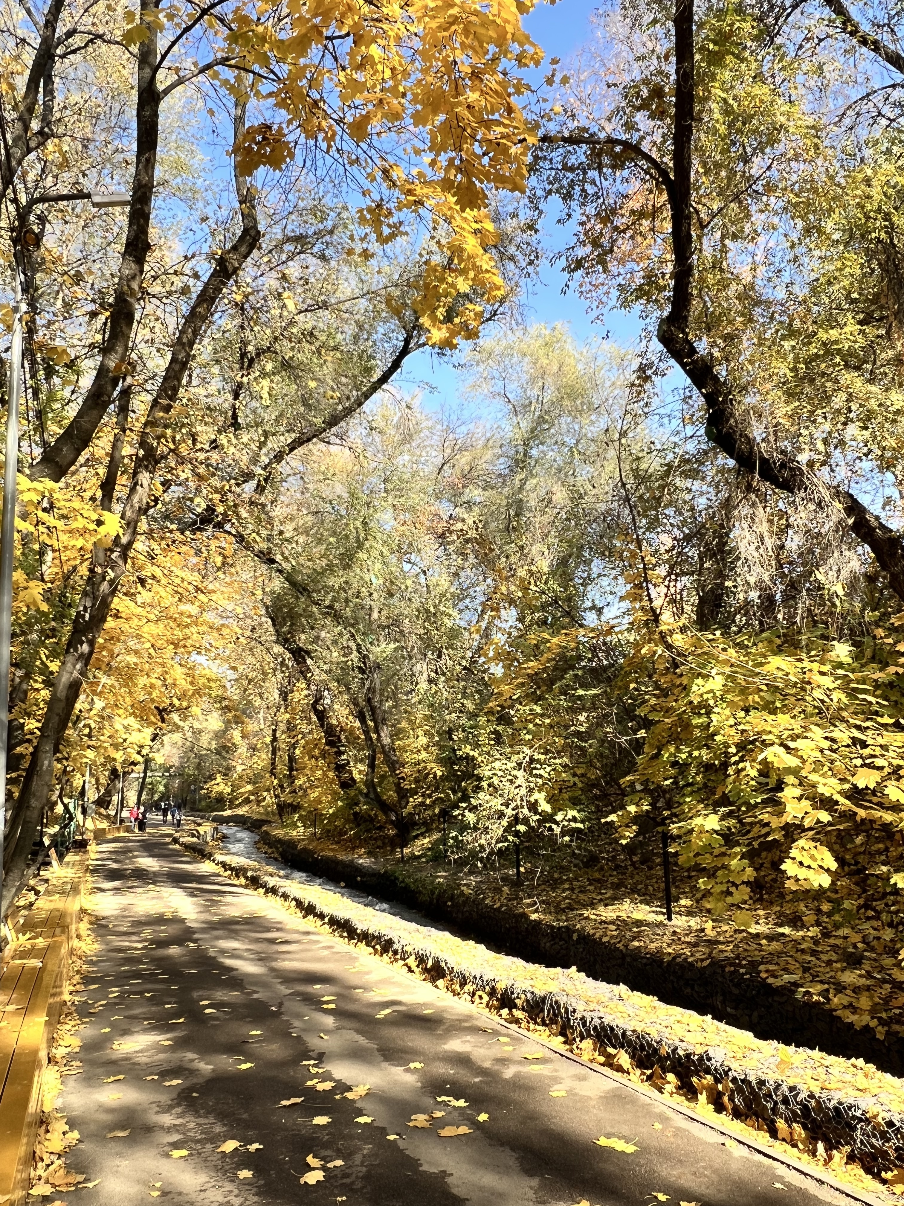 Терренкур осенью