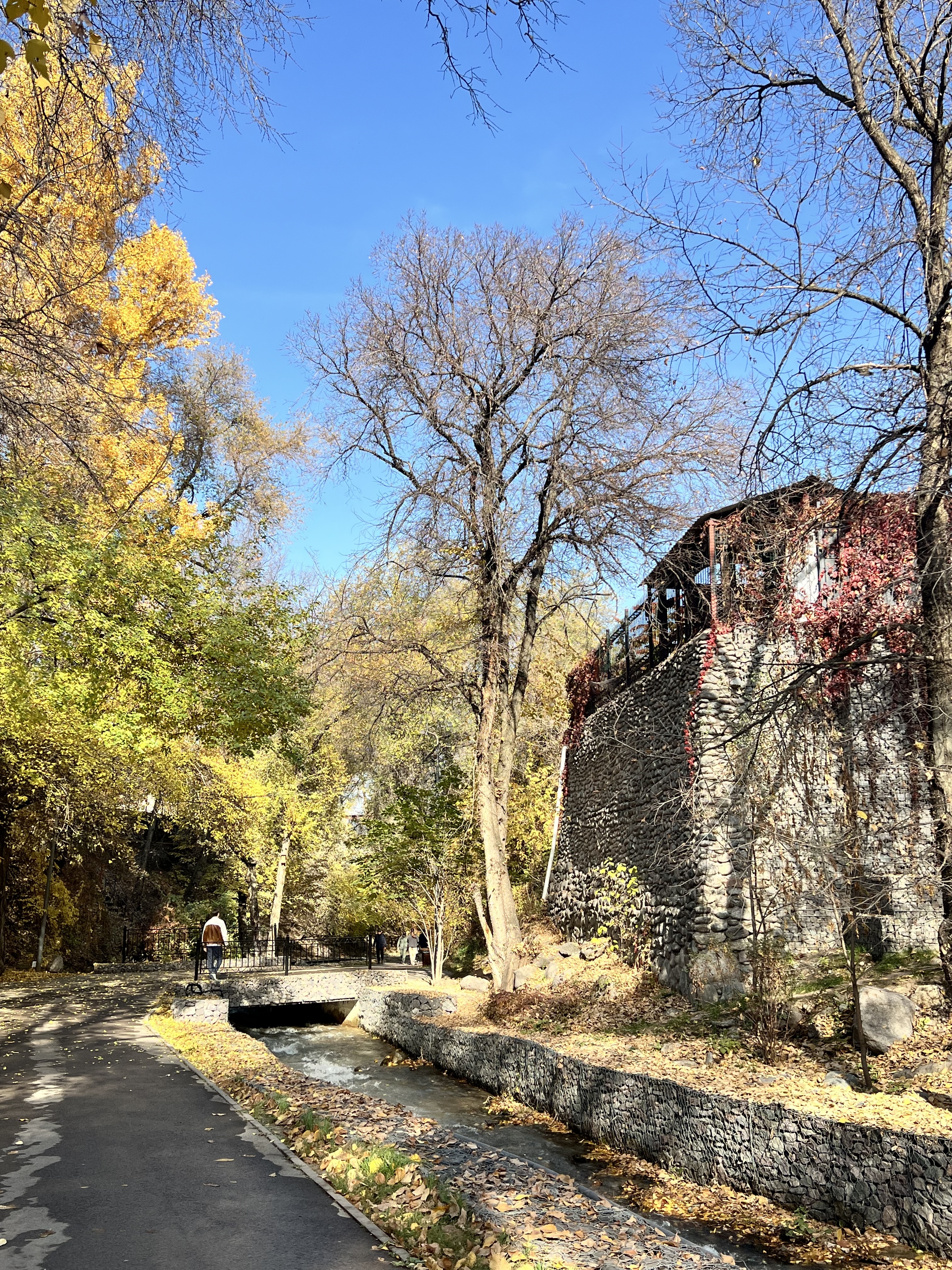 Терренкур осенью