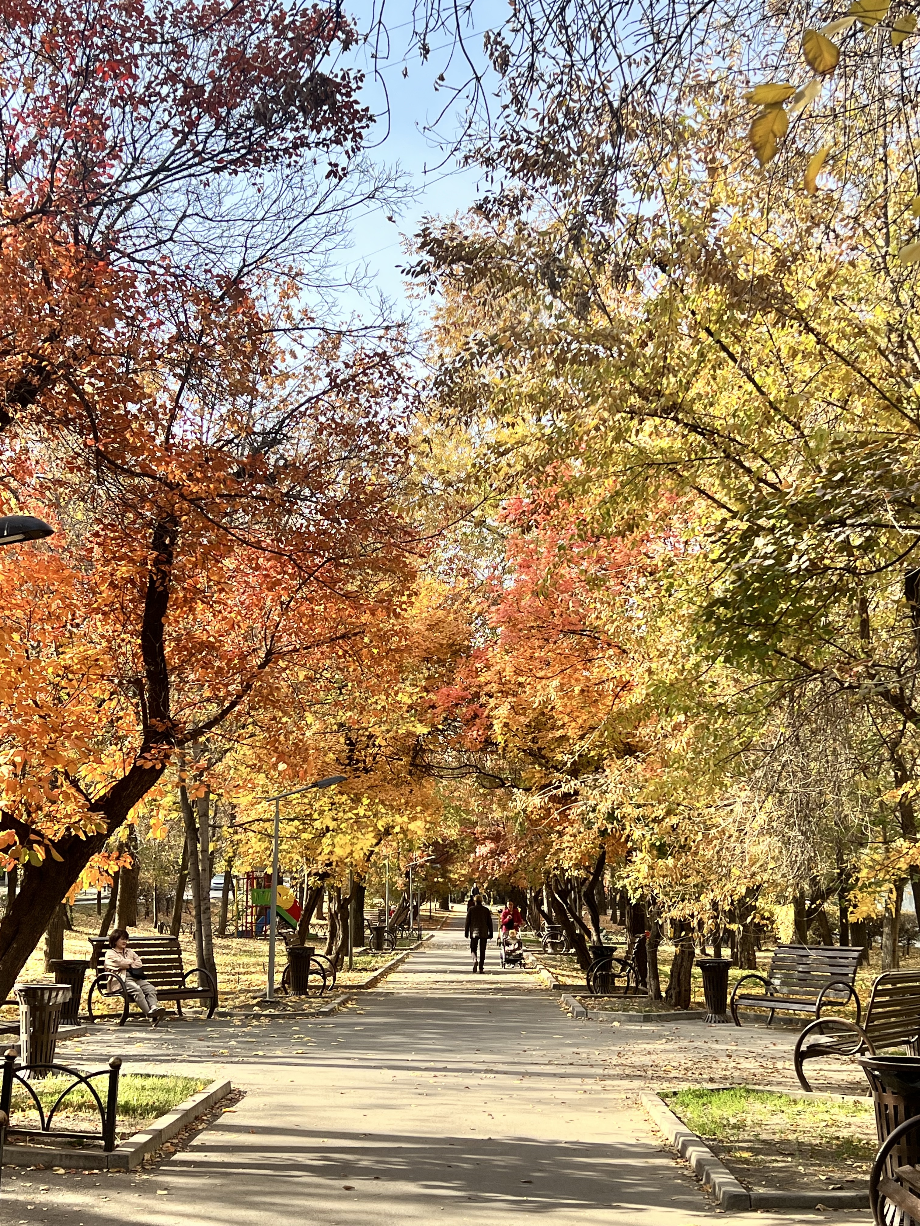 Осень в Алматы - бульвар Бухар Жырау