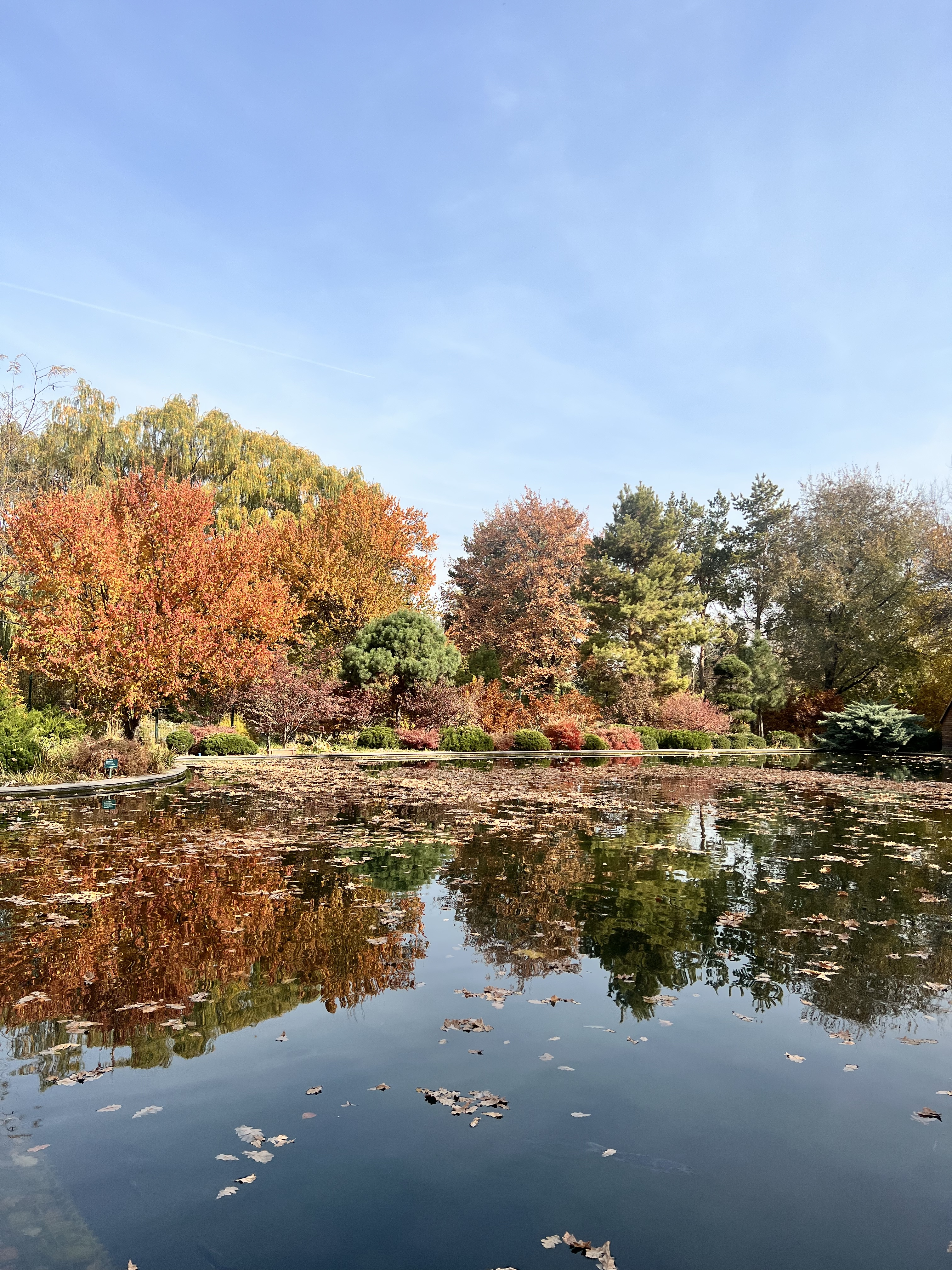 Ботанический сад Алматы осенью