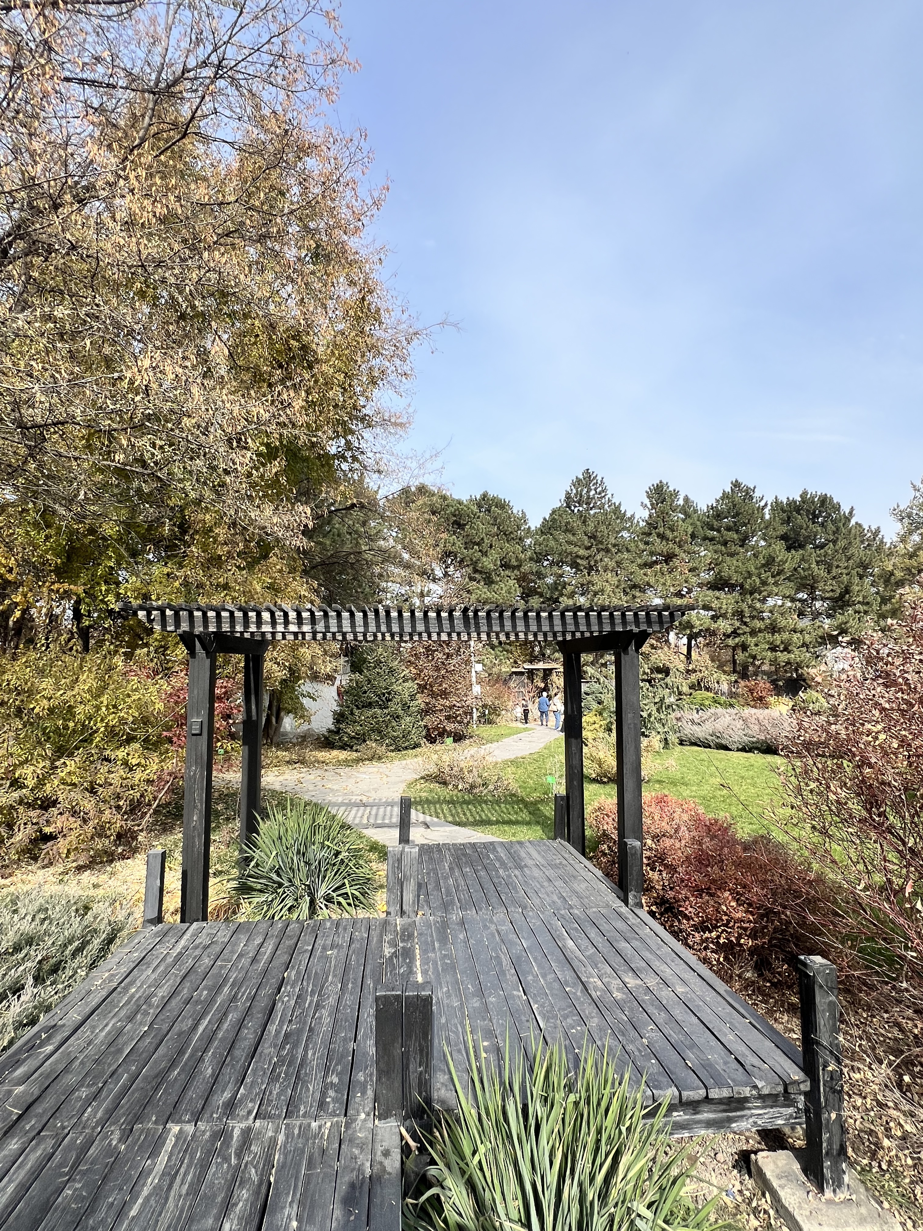 Ботанический сад Алматы. Японский сад